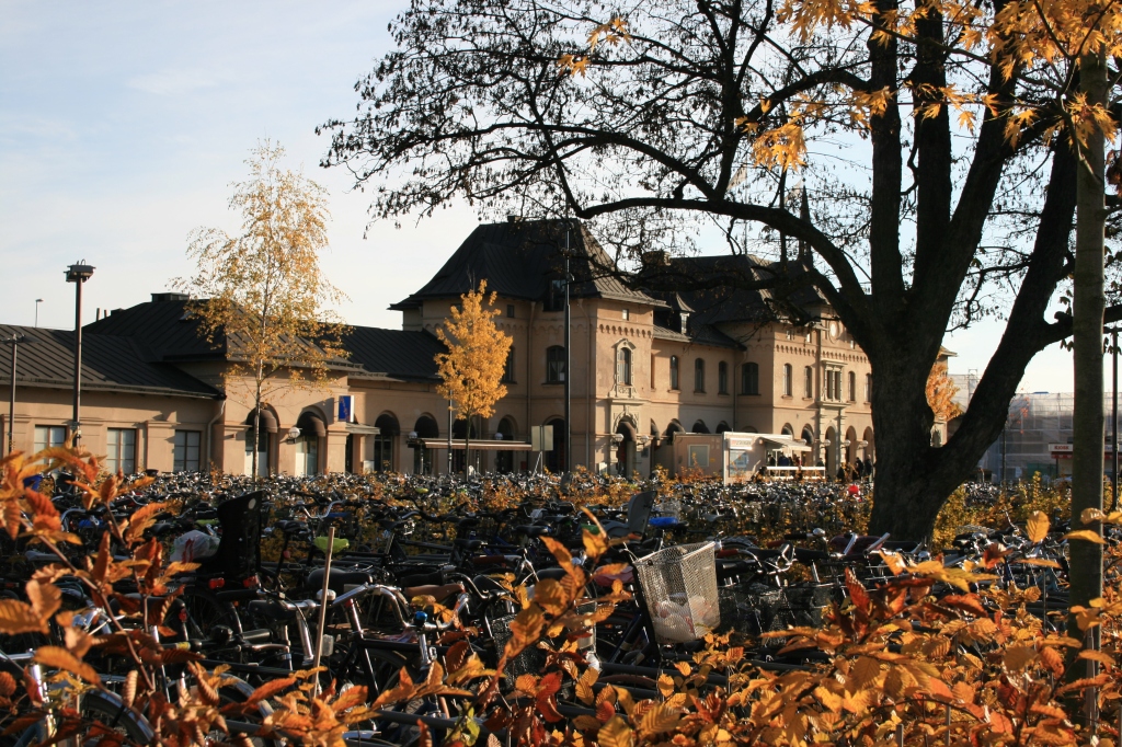 20091031 Uppsalastation